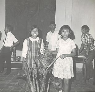 Sidang Konsultasi di Wamena, Irian Barat
